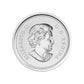 2014 5oz $50 SWIMMING BEAVER FINE SILVER COIN