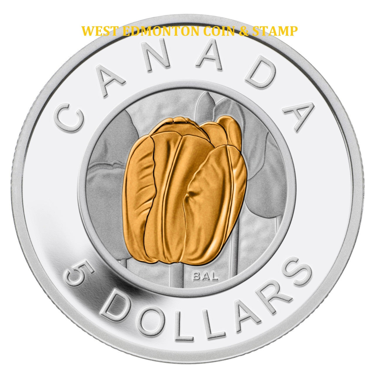 2014 $5 FLOWERS IN CANADA - NIOBIUM TULIP FINE SILVER COIN