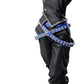 JOJO'S BIZZARE ADVENTURE ACTION FIGURE - KEICHO NIJIMURA & BACK COMPANY