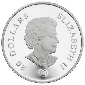 2008 1oz $20 CRYSTAL SWAROVSKI SAPPHIRE SNOWFLAKE FINE SILVER COIN