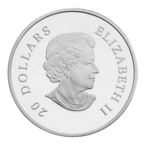 2009 1oz $20 - PINK CRYSTAL SNOWFLAKE - FINE SILVER COIN