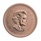 2010 7-COIN SPECIMEN SET - NORTHERN HARRIER LOONIE