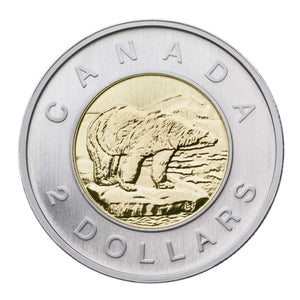 2010 7-COIN SPECIMEN SET - NORTHERN HARRIER LOONIE