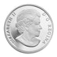 2011 $20 - WINTER SCENE - FINE SILVER COIN