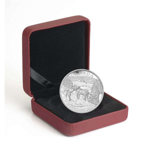 2011 $20 - WINTER SCENE - FINE SILVER COIN