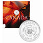 2005 25 CENTS CANADA DAY COLOURED COIN
