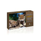 2012 7-COIN SPECIAL EDITION SPECIMEN SET (YW)
