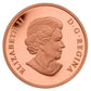 2013 $3 BRONZE COIN- CANADA: AN ALLEGORY (9.2g)