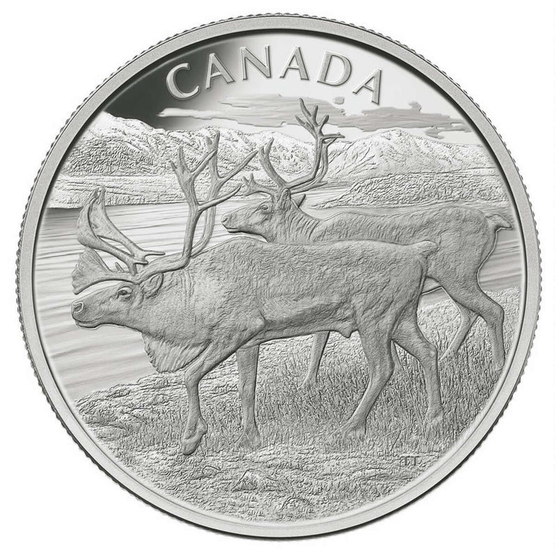 E-TRANSFER ONLY - 2013 $250 THE CARIBOU - PURE SILVER KILO COIN