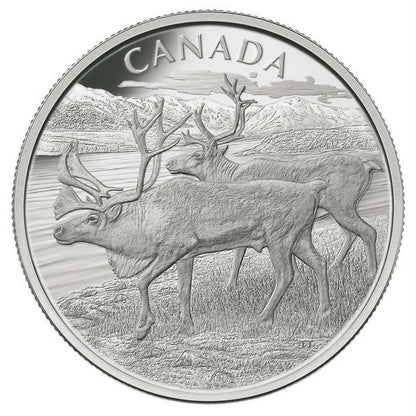 E-TRANSFER ONLY - 2013 $250 THE CARIBOU - PURE SILVER KILO COIN