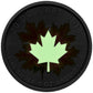 2014 1oz $20 PURE SILVER GLOW IN THE DARK COIN - MAPLE LEAVES