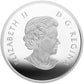 2015 1oz $20 REFLECTION FINE SILVER COIN MAPLE LEAF