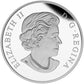 2015 1oz $20 VENETIAN GLASS TURTLE WITH BROADLEAF ARROWHEAD FLOWER FINE SILVER COIN