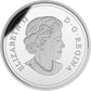 2015 - 2017 4oz $20 WEATHER PHENOMENON FINE SILVER 4-COIN SET