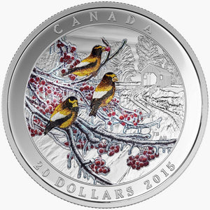 2015 - 2017 4oz $20 WEATHER PHENOMENON FINE SILVER 4-COIN SET
