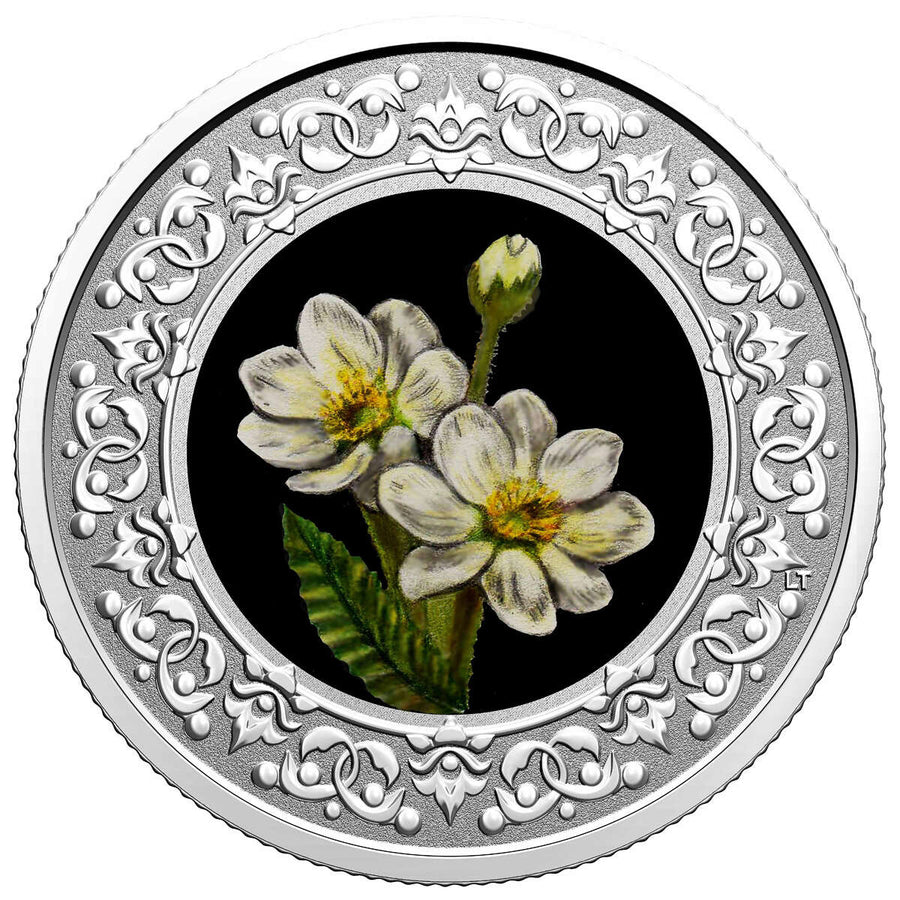 2021 1/4oz $3 FLORAL EMBLEMS OF CANADA - NORTHWEST TERRITORIES FINE SILVER COIN