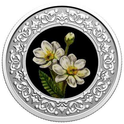 2021 1/4oz $3 FLORAL EMBLEMS OF CANADA - NORTHWEST TERRITORIES FINE SILVER COIN