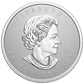 2021 1oz $20 SUPER INCUSE SML FINE SILVER COIN (NO SLEEVE)