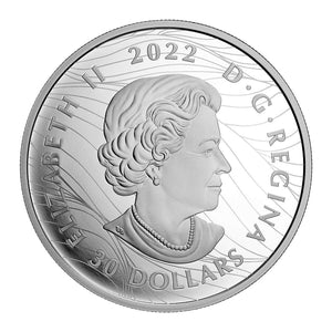 2022 2oz $30 VISIONS OF CANADA FINE SILVER COIN