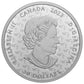 2022 2oz $30 THE RED KNIGHT FINE SILVER COIN