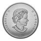 2023 3oz $50 CANADIAN COLLAGE: FOUR SEASONS FINE SILVER COIN