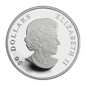 SALE - 2007 1oz $30 STERLING SILVER VIMY RIDGE COIN (NO SLEEVE)