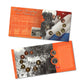 2005 60TH ANNIVERSARY OF THE LIBERATION OF THE NETHERLANDS: BRILLIANT UNCIRCULATED COIN SET