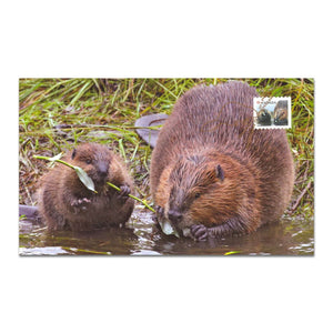 2014 1oz $20 THE BEAVER - STAMP AND COIN SET