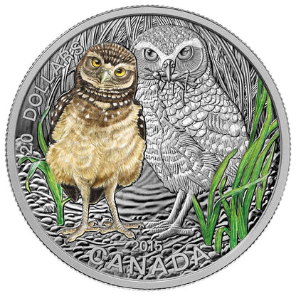 2015 1oz $20 THE BURROWING OWL - STAMP AND COIN SET