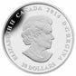 2014 1oz $20 STAINED GLASS: CRAIGDARROCH CASTLE FINE SILVER COIN