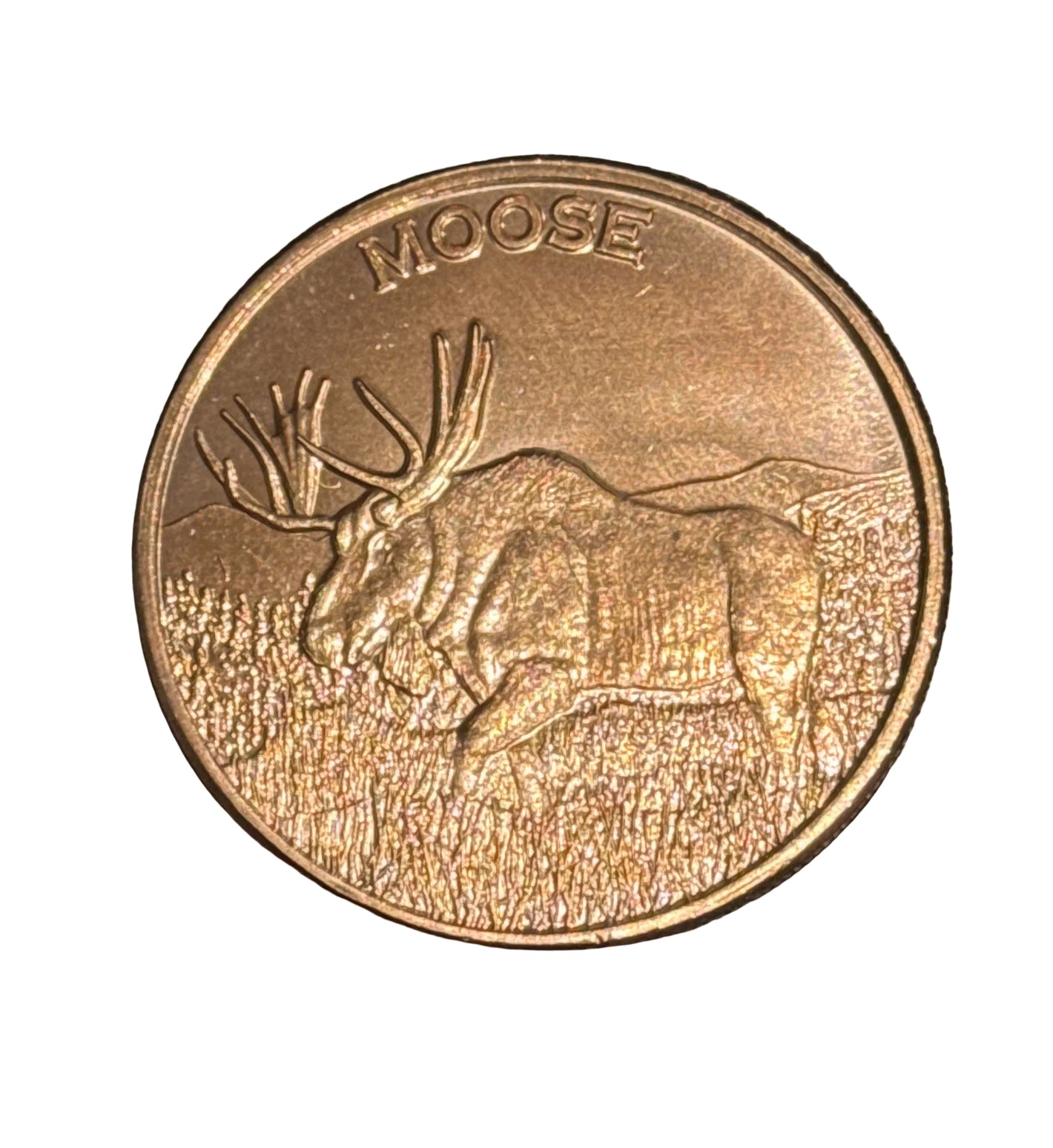 1oz MOOSE COPPER COIN
