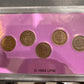THE WILD WEST COIN COLLECTION: THE AMERICAN INDIAN