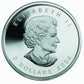 2004 ARCTIC FOX 4-COIN SET. PURE SILVER. $5, $4, $3, AND $2 (1.8oz)