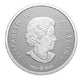 2023 1/2oz $10 WELCOME TO THE WORLD! FINE SILVER COIN