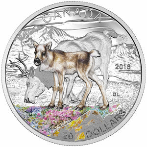 2016 1oz $20 BABY ANIMALS: CARIBOU FINE SILVER COIN