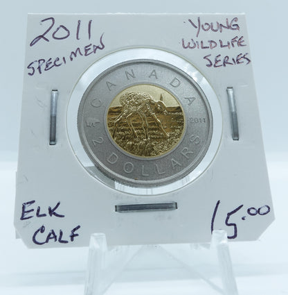 2011 CANADA CIRCULATION TOONIE SPECIMEN YOUNG WILDLIFE SERIES ELK CALF