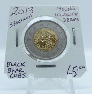 2013 CANADA CIRCULATION TOONIE SPECIMEN YOUNG WILDLIFE SERIES BLACK BEAR CUBS