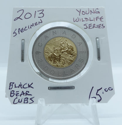2013 CANADA CIRCULATION TOONIE SPECIMEN YOUNG WILDLIFE SERIES BLACK BEAR CUBS