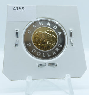 1999 CANADA CIRCULATION TOONIE SPECIMEN