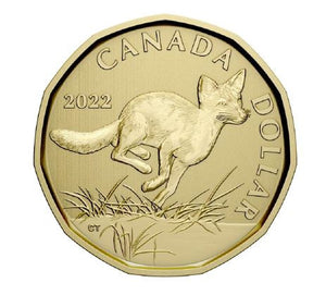 2022 SPECIMEN SET CONSERVATION STORIES: SWIFT FOX