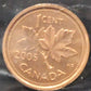 2005 CANADIAN ONE CENT ICCS MS-66 (RED)