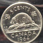 1964 CANADIAN FIVE CENT ICCS MS-63