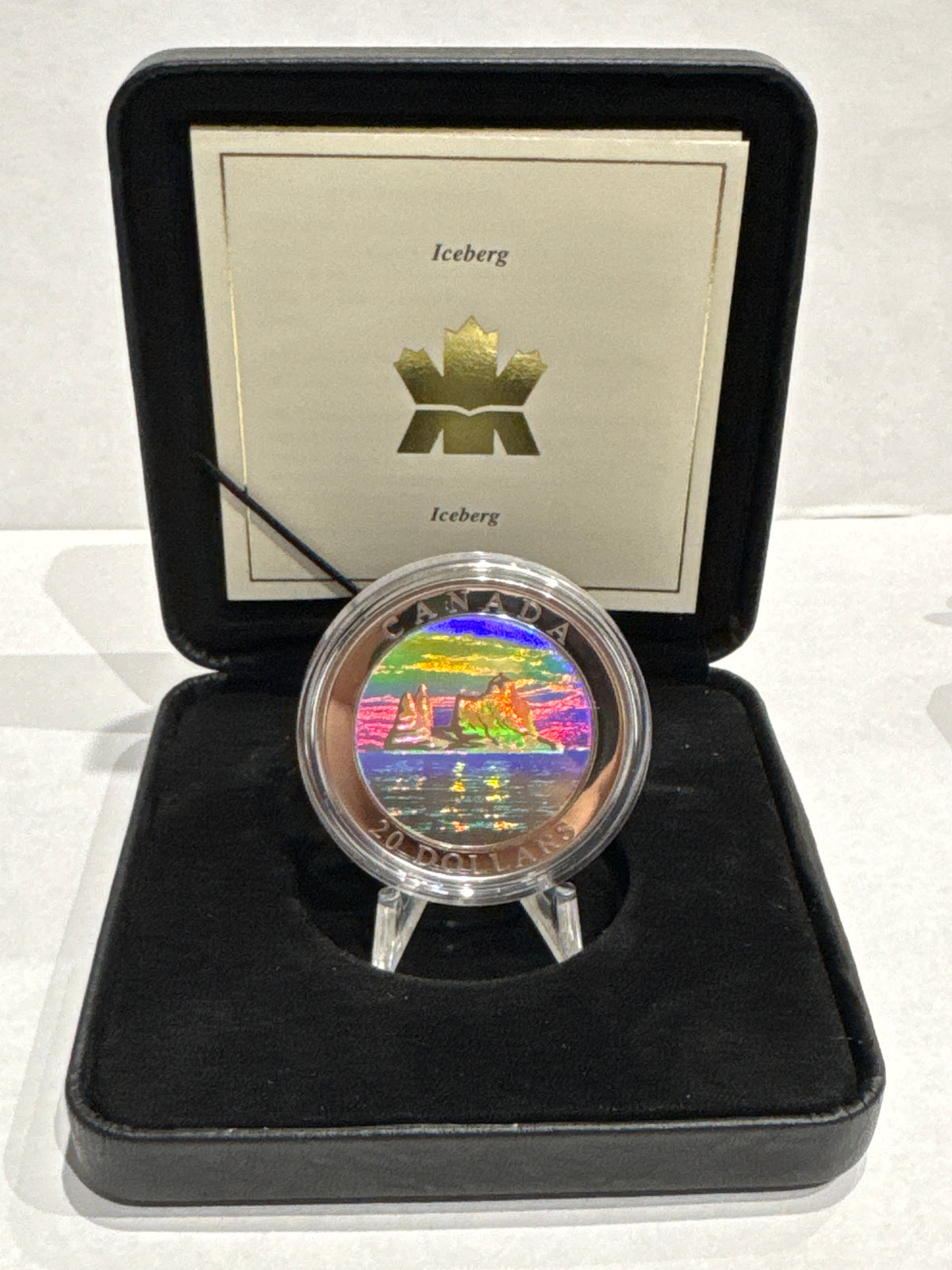 [AUCTION ONLY] 2004 $20 NATURAL WONDERS ICEBERGS FINE SILVER COIN