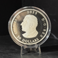 2025 2oz $30 MAGIC OF THE NORTHERN LIGHTS FINE SILVER COIN