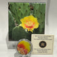 [AUCTION ONLY] 2013 25-CENT MAGNIFIED BEAUTY: THE EASTERN PRICKLY PEAR CACTUS COLOURED COIN