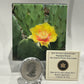 [AUCTION ONLY] 2013 25-CENT MAGNIFIED BEAUTY: THE EASTERN PRICKLY PEAR CACTUS COLOURED COIN