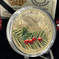 [AUCTION ONLY] 2015 $20 FORESTS OF CANADA - BOREAL BALSAM POPLAR FINE SILVER COIN