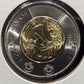 2023 JEAN PAUL RIOPELLE CARBOARD 2X2 COLOUR/NO COLOUR TOONIE (2 PACK)
