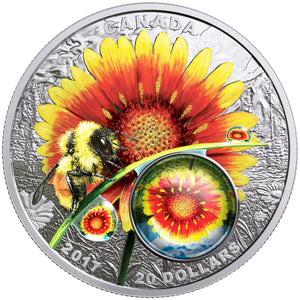 2017 1oz $20 MOTHER NATURE'S MAGNIFICATION: BEAUTY UNDER THE SUN FINE SILVER COIN