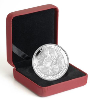2013 1oz $20 PRONGHORN - UNTAMED WILDERNESS - FINE SILVER COIN